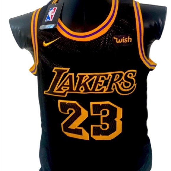 Nike Other - Lakers #23 James Black City Edition Jersey